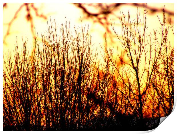 Sunset on fire Print by Alexia Miles