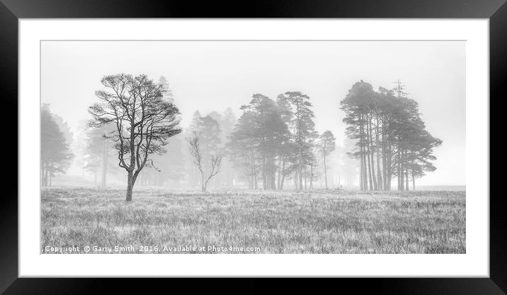 Misty Trees at Loch Tulla. (mono) Framed Mounted Print by Garry Smith