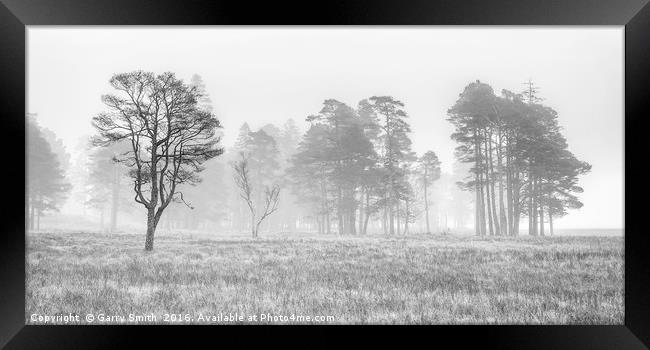 Misty Trees at Loch Tulla. (mono) Framed Print by Garry Smith