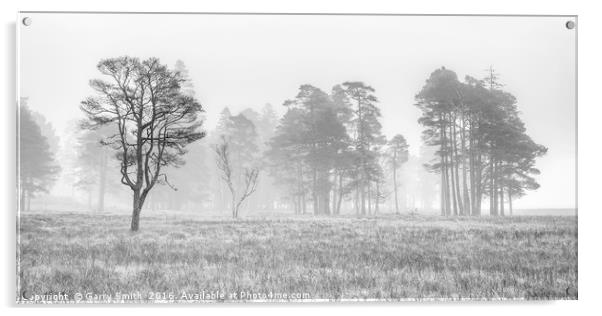 Misty Trees at Loch Tulla. (mono) Acrylic by Garry Smith