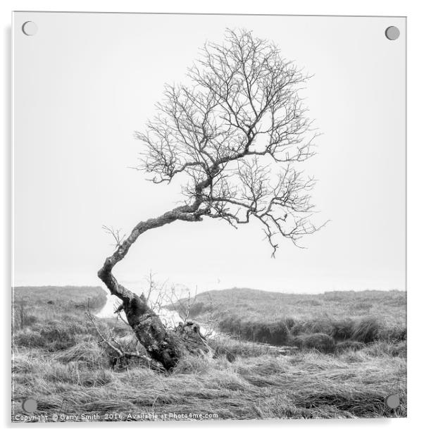 Crooked Tree. Acrylic by Garry Smith
