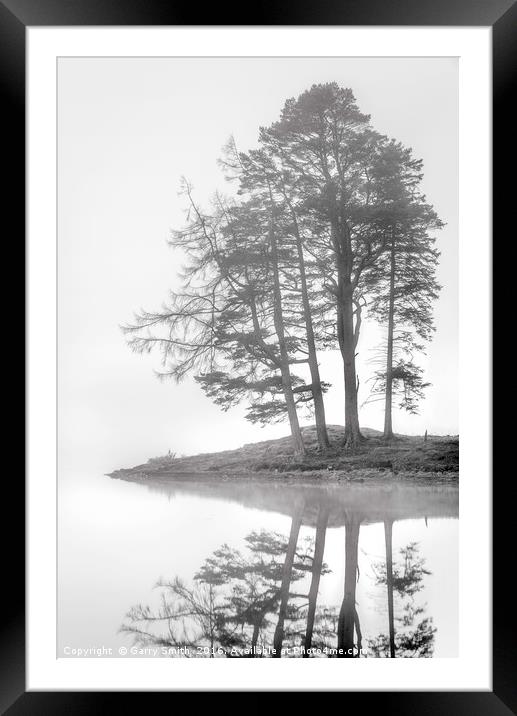 Four Trees. Framed Mounted Print by Garry Smith