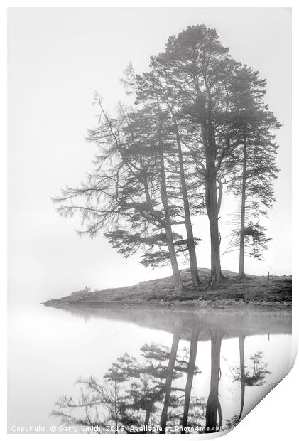 Four Trees. Print by Garry Smith