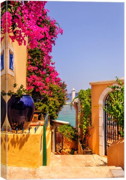 Pathway to Paradise............. Canvas Print by Naylor's Photography