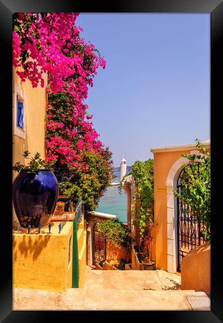Pathway to Paradise............. Framed Print by Naylor's Photography