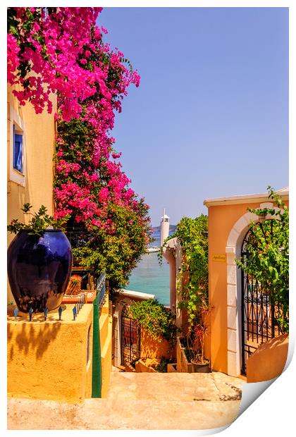 Pathway to Paradise............. Print by Naylor's Photography
