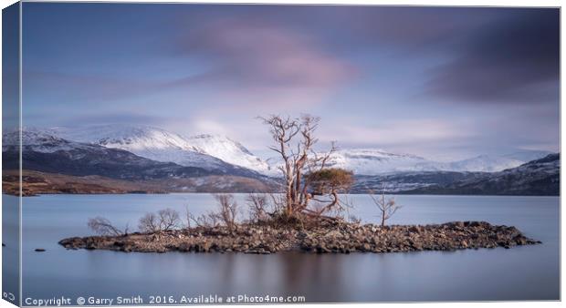 Trees on Loch Assynt. Canvas Print by Garry Smith