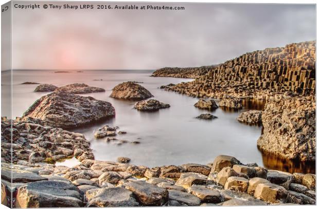 Hazy Sunset - Giant's Causeway Canvas Print by Tony Sharp LRPS CPAGB