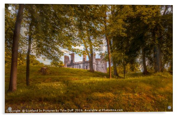 Huntly Castle Aberdeenshire Acrylic by Tylie Duff Photo Art
