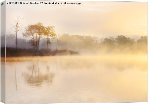 Misty Sunrise, Loch Ard Canvas Print by Janet Burdon