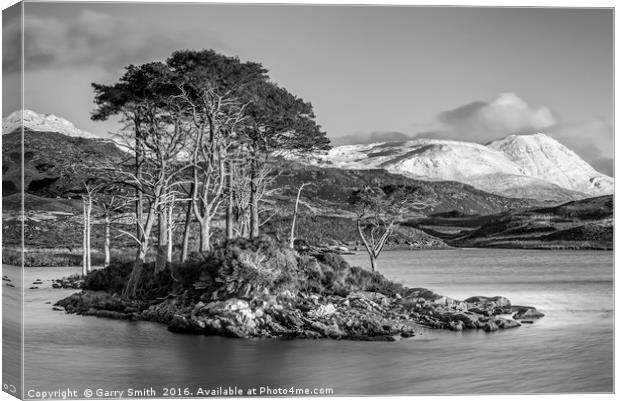 Scots Pines at Loch Assynt. Canvas Print by Garry Smith