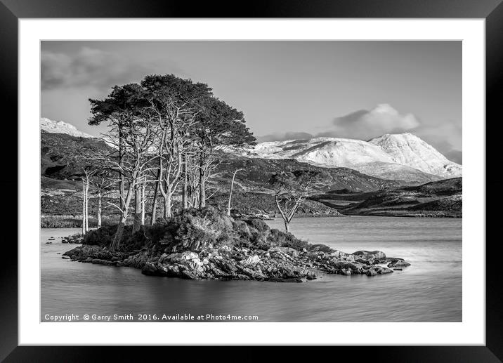 Scots Pines at Loch Assynt. Framed Mounted Print by Garry Smith
