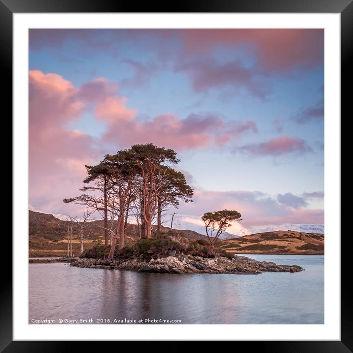 Scots Pines at Loch Assynt, Sutherland. Framed Mounted Print by Garry Smith
