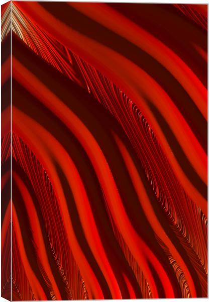 Lava Flow Canvas Print by Steve Purnell
