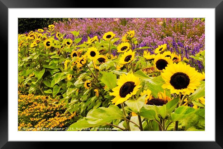 Sunshine Flowers Framed Mounted Print by Emma Roberts