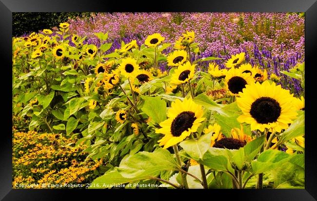 Sunshine Flowers Framed Print by Emma Roberts