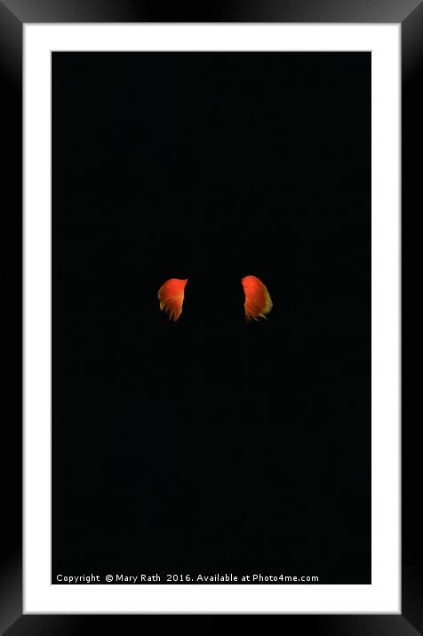 Red floating in the blackness Framed Mounted Print by Mary Rath