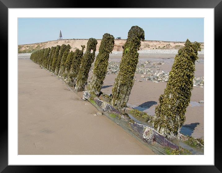 Walney Beach 2 Framed Mounted Print by Paul Leviston