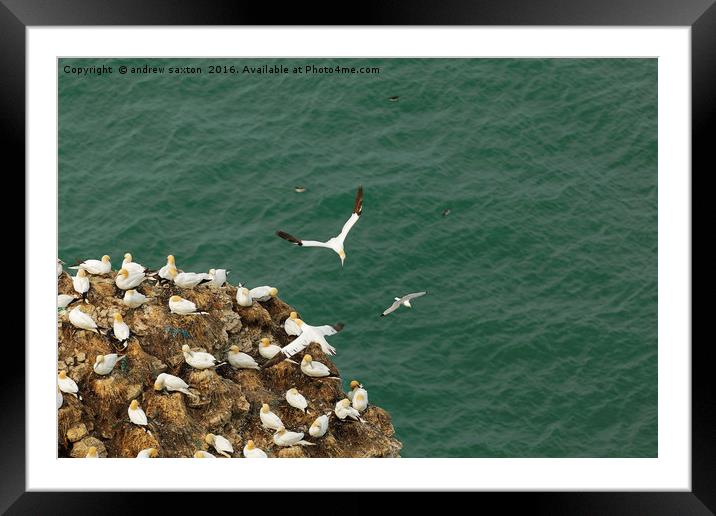 FLYING ABOVE Framed Mounted Print by andrew saxton
