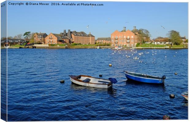 Oulton Broad Canvas Print by Diana Mower