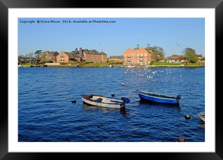 Oulton Broad Framed Mounted Print by Diana Mower