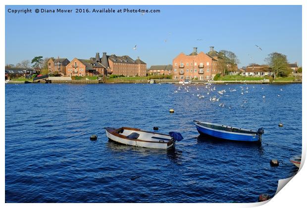Oulton Broad Print by Diana Mower