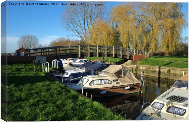 Beccles  Bridge and Boats Canvas Print by Diana Mower