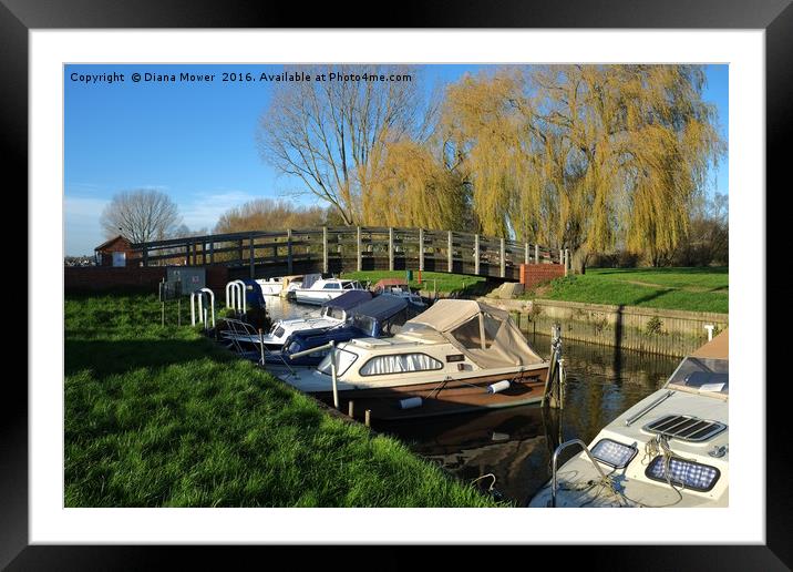 Beccles  Bridge and Boats Framed Mounted Print by Diana Mower