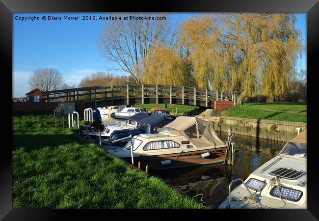 Beccles  Bridge and Boats Framed Print by Diana Mower