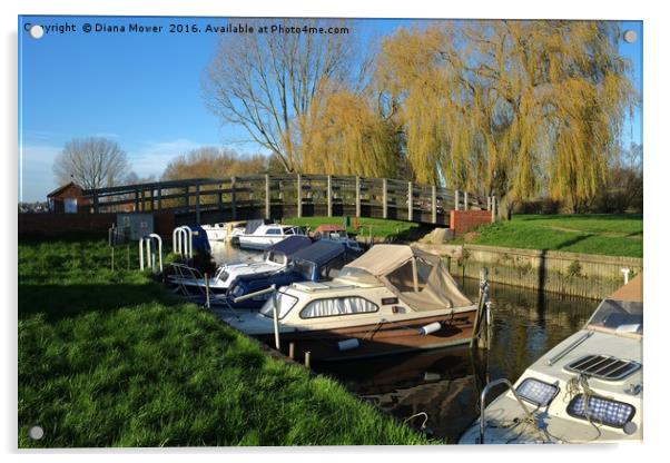 Beccles  Bridge and Boats Acrylic by Diana Mower