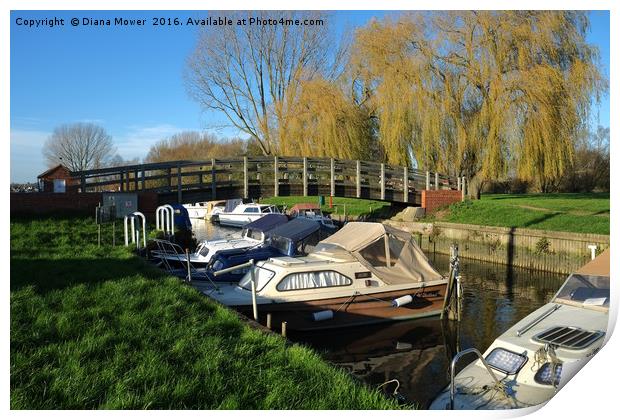Beccles  Bridge and Boats Print by Diana Mower