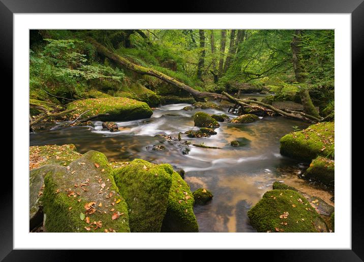 A magical place Framed Mounted Print by Michael Brookes