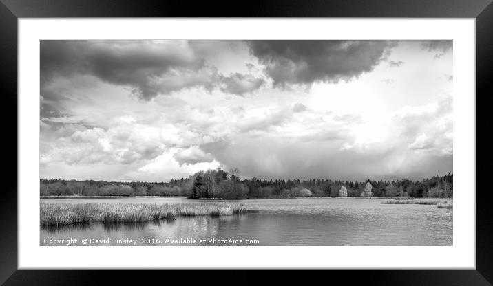 Woorgreens Lake 02 Framed Mounted Print by David Tinsley