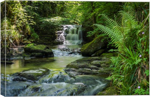 Watersmeet, Exmoor, Devon Canvas Print by Carolyn Eaton