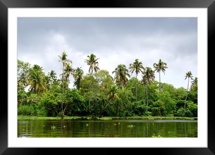 Backwaters Framed Mounted Print by Georgie Lilly