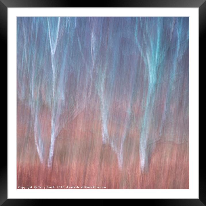 Birch Textures. Framed Mounted Print by Garry Smith