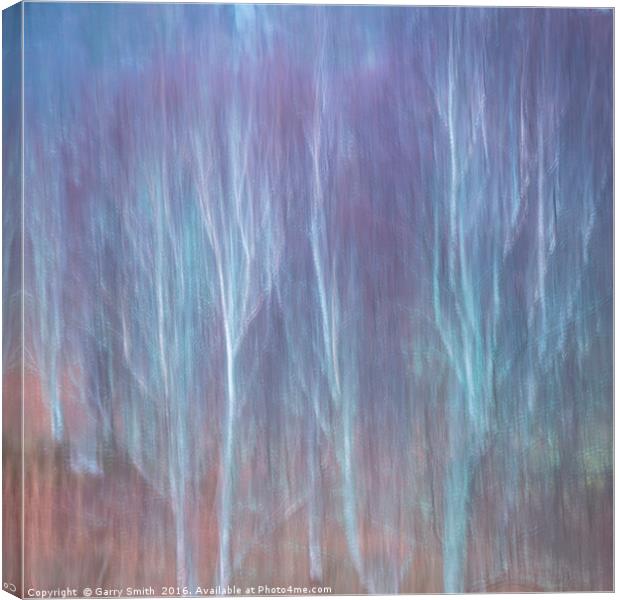 Pastel Birches. Canvas Print by Garry Smith