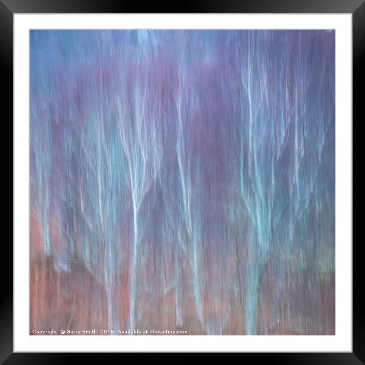 Pastel Birches. Framed Mounted Print by Garry Smith