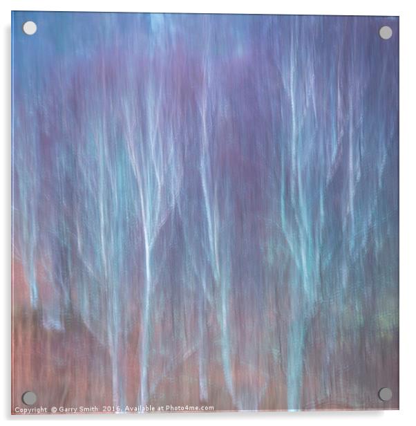 Pastel Birches. Acrylic by Garry Smith