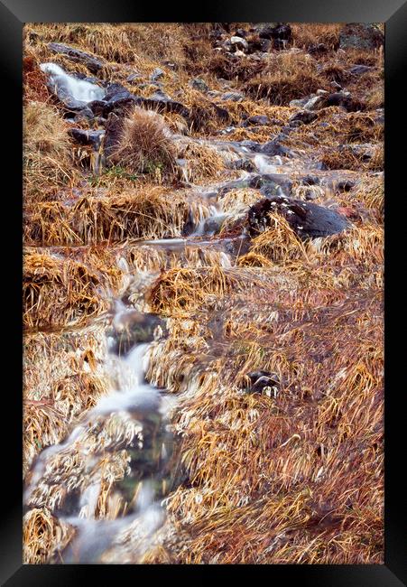 Mountain stream and orange grass in Autumn. Cumbri Framed Print by Liam Grant