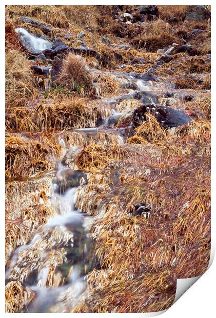 Mountain stream and orange grass in Autumn. Cumbri Print by Liam Grant