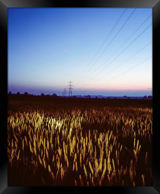 Wheat field and electricity pylon lit by torch lig Framed Print by Liam Grant