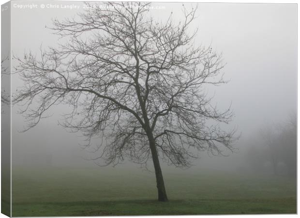 Winter Tree in Winter Fog Canvas Print by Chris Langley