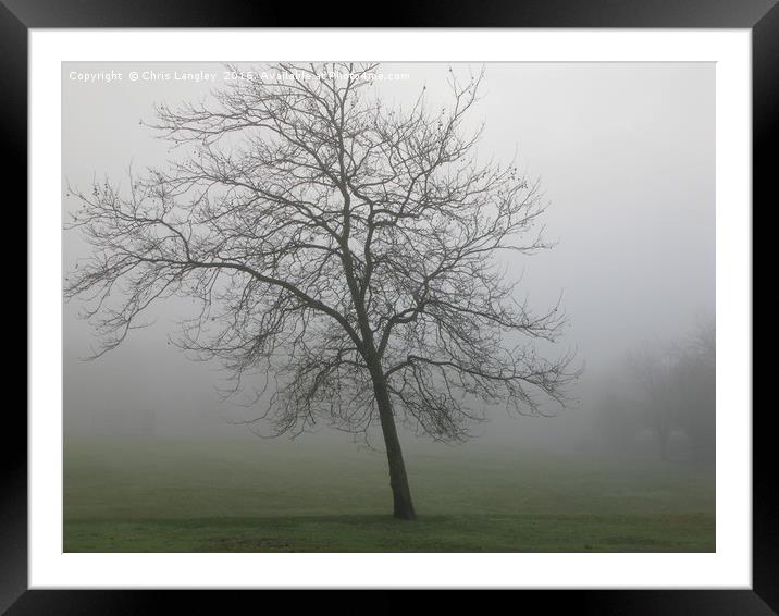 Winter Tree in Winter Fog Framed Mounted Print by Chris Langley