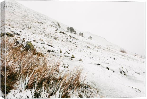 Heavy snow falling on a mountainside. Cumbria, UK. Canvas Print by Liam Grant