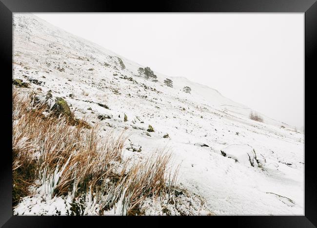 Heavy snow falling on a mountainside. Cumbria, UK. Framed Print by Liam Grant