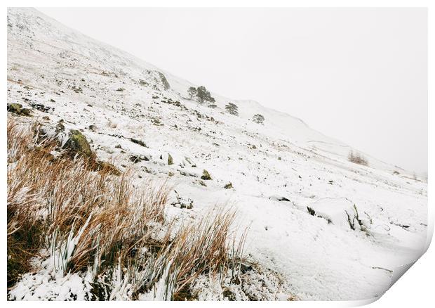Heavy snow falling on a mountainside. Cumbria, UK. Print by Liam Grant