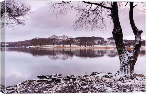 Snow and reflections on Esthwaite Water at dawn. C Canvas Print by Liam Grant