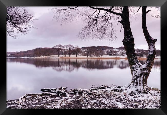 Snow and reflections on Esthwaite Water at dawn. C Framed Print by Liam Grant