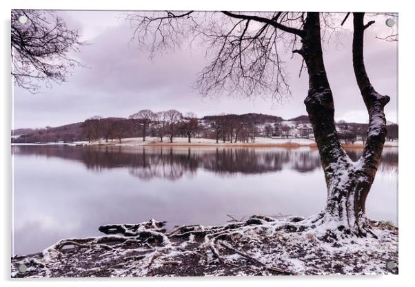 Snow and reflections on Esthwaite Water at dawn. C Acrylic by Liam Grant